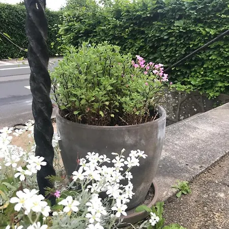 Thuroe 3* סבנדבורג