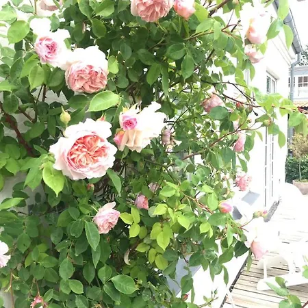 Thuroe 3* סבנדבורג