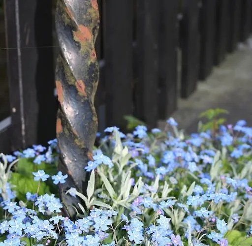 Alojamento de Acomodação e Pequeno-almoço Thuroe