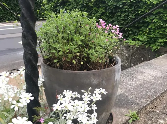 Thuroe 3* סבנדבורג